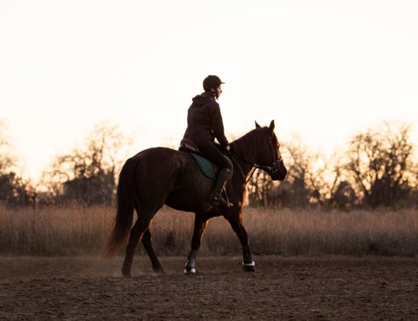 horseback-riding-2023-11-27-05-00-05-utc (1)